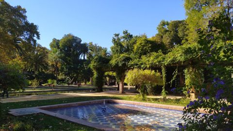 Si l’utilisation des produits phytopharmaceutiques était déjà interdite dans la plupart des espaces verts, l’interdiction s’étendra à tous les lieux de vie dès le 1er juillet 2022. ©L. Hespel